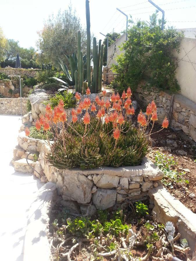 Villa Ca Del Mar 莫尔恰诺迪莱乌卡 外观 照片