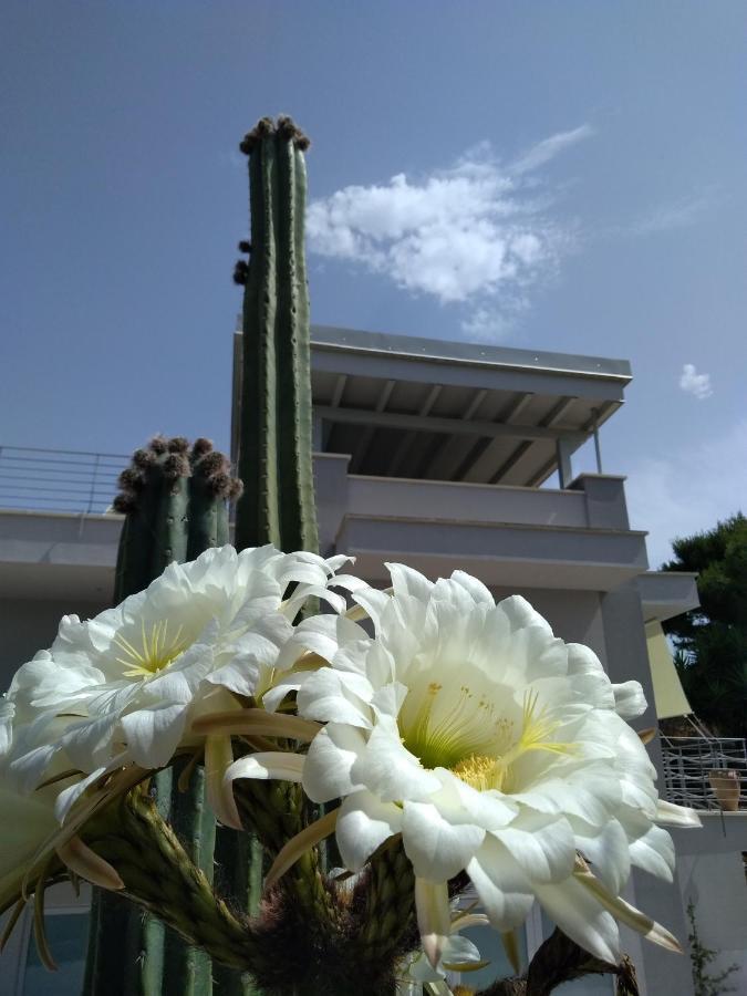 Villa Ca Del Mar 莫尔恰诺迪莱乌卡 外观 照片