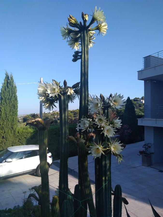 Villa Ca Del Mar 莫尔恰诺迪莱乌卡 外观 照片